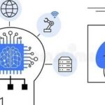 How to Cultivate Children in the Chip Era: A Long-Term Educational Roadmap for Students Entering the Chip Industry (Elementary School to University)