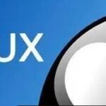 The Playability of Linux in 2025
