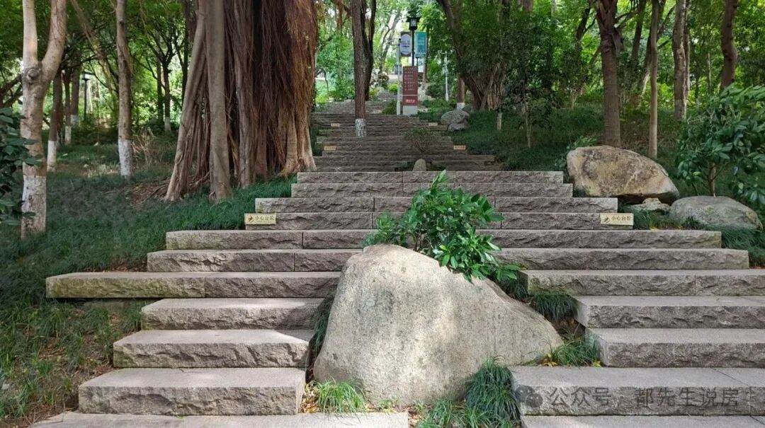 Integrating Nursing Homes into Communities: Why Fuzhou's Embedded Elderly Care Model Angers Luxury Homeowners