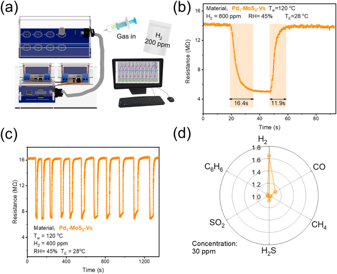 Shanghai University Xu Jiaqiang Team | Breakthrough in Novel Hydrogen Sensors: Synergistic Effect of Pd Single Atoms and Sulfur Vacancies for Efficient Hydrogen Detection