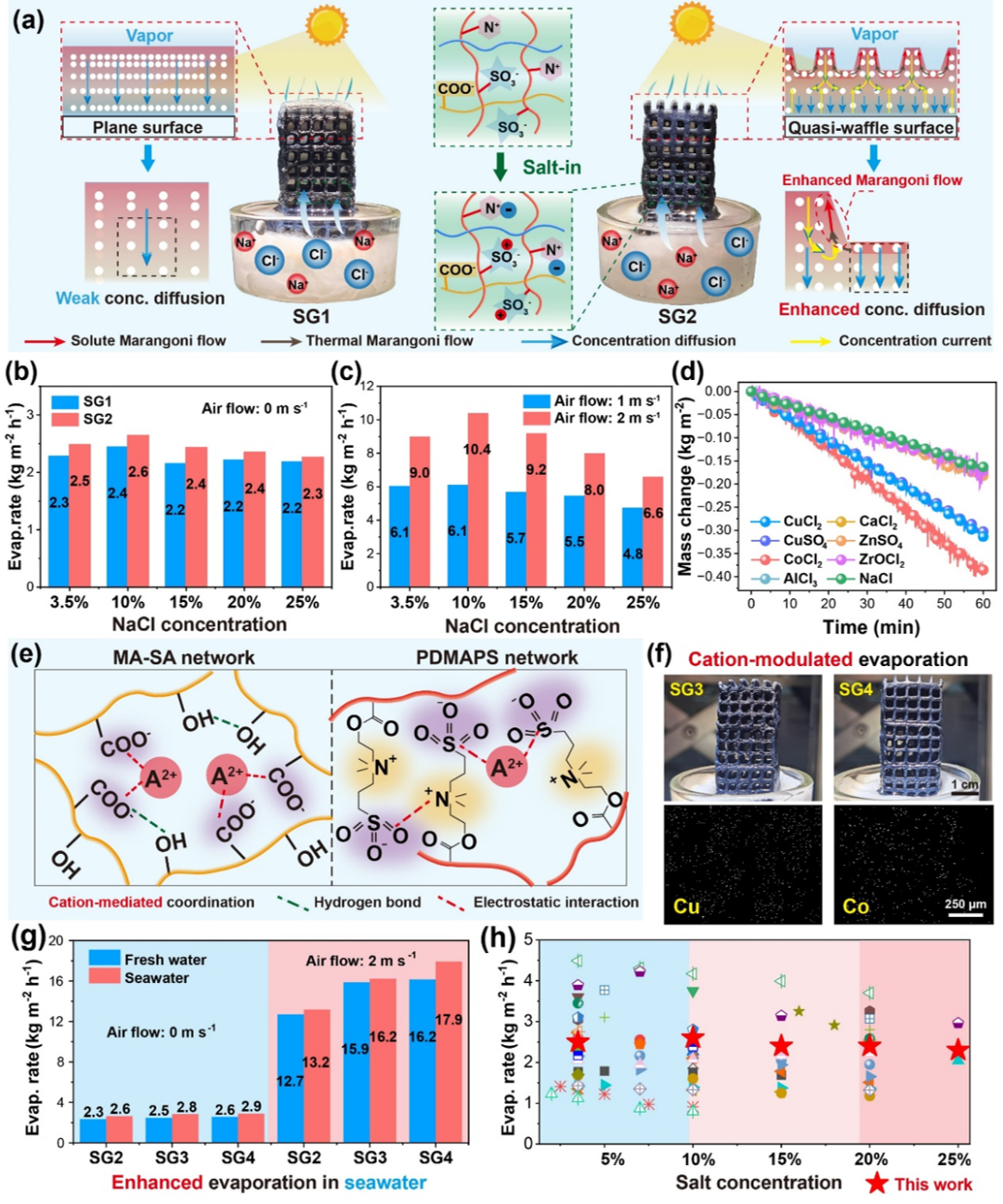 Professor Xu Xiaofeng from Ocean University of China: Achieving Solar Energy Coupling and Resource Utilization of Saline Water through Multi-Material 3D Printing