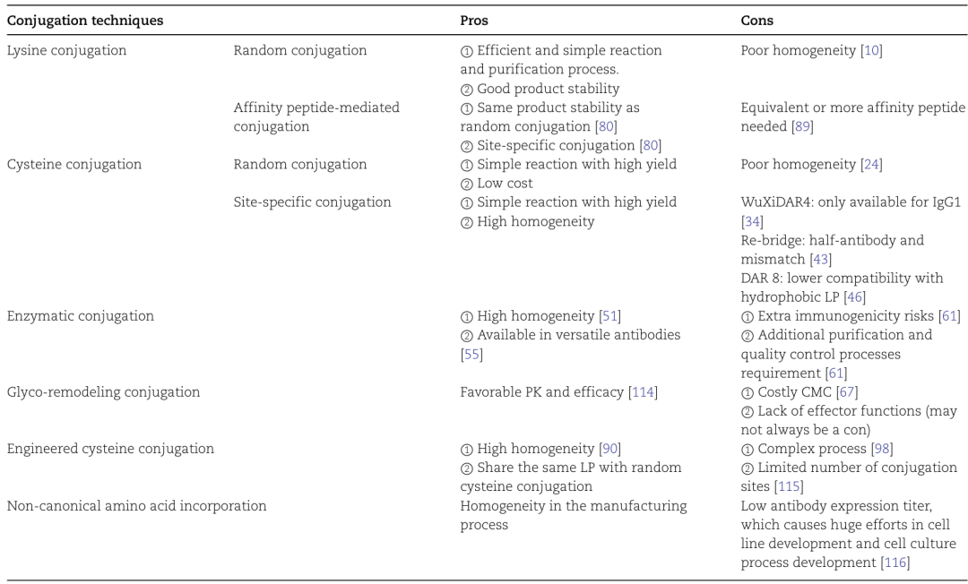 Comprehensive Analysis of ADC Conjugation Technology