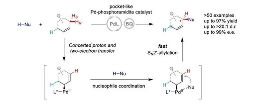 Palladium-Catalyzed Site– and Enantiodifferentiating Allylic C–H Alkylation of Internal Alkenes