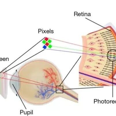 Electronic Paper Screen Pixel Density Expected to Exceed 25,000 PPI