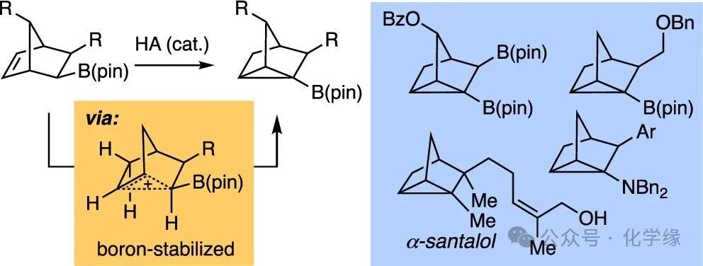Polycyclic Scaffolds through the Intermediacy of Boron-Stabilized Nonclassical Carbocations