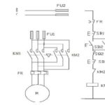 Beginner's Guide to PLC: Essential Cases to Learn and Save