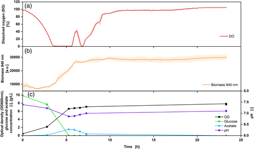 A Novel Multiparameter Sensor for Shake Flask Cultivations: Online Monitoring of Biomass, Dissolved Oxygen, and Fluorescence for Comprehensive Bioprocess Characterization
