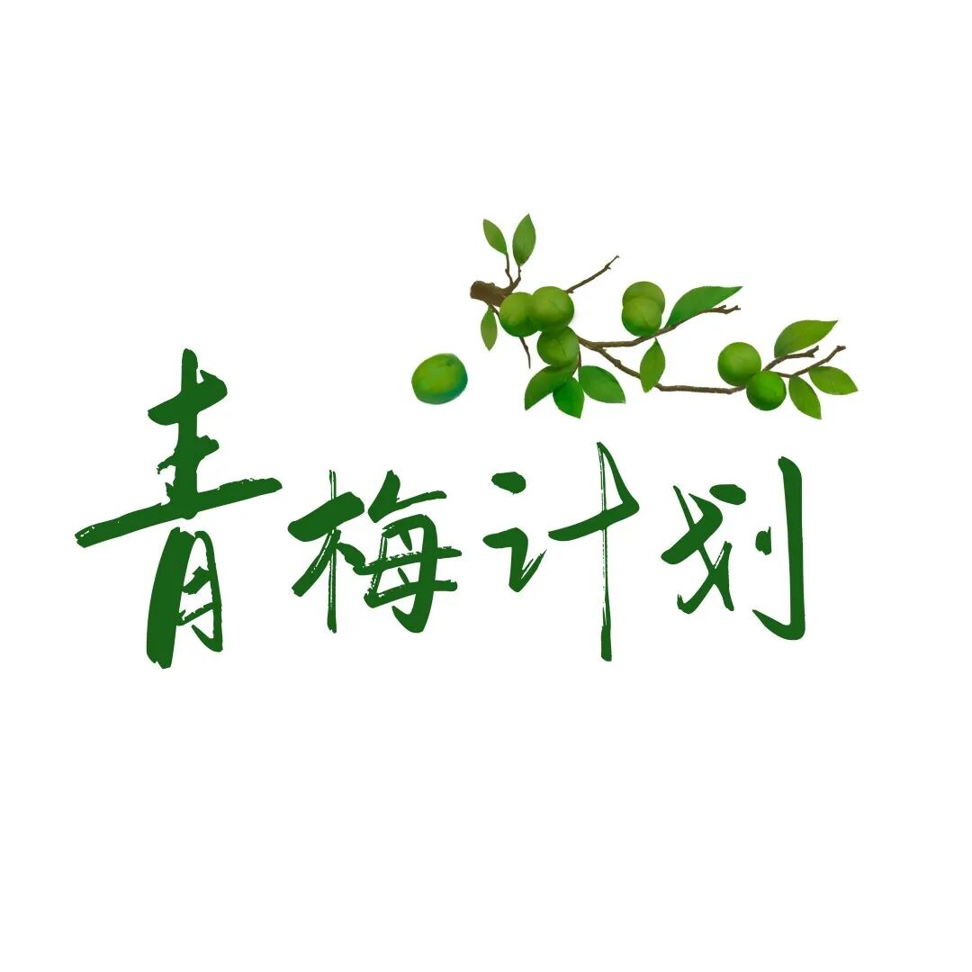 Qingmei Project | AI Robot Classroom Launched at Wen Yiduo Primary School in Xishui County