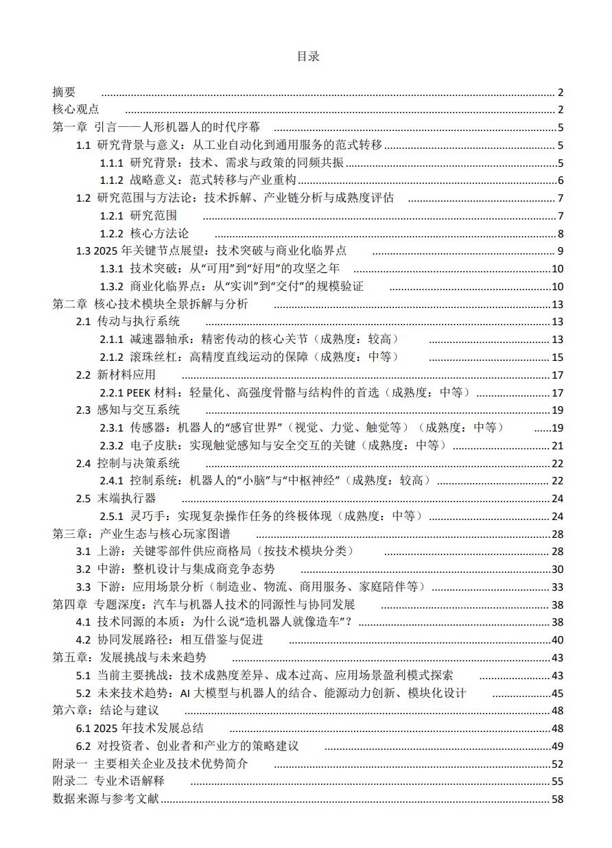 Comprehensive Analysis Report on Humanoid Robot Technology in 2025