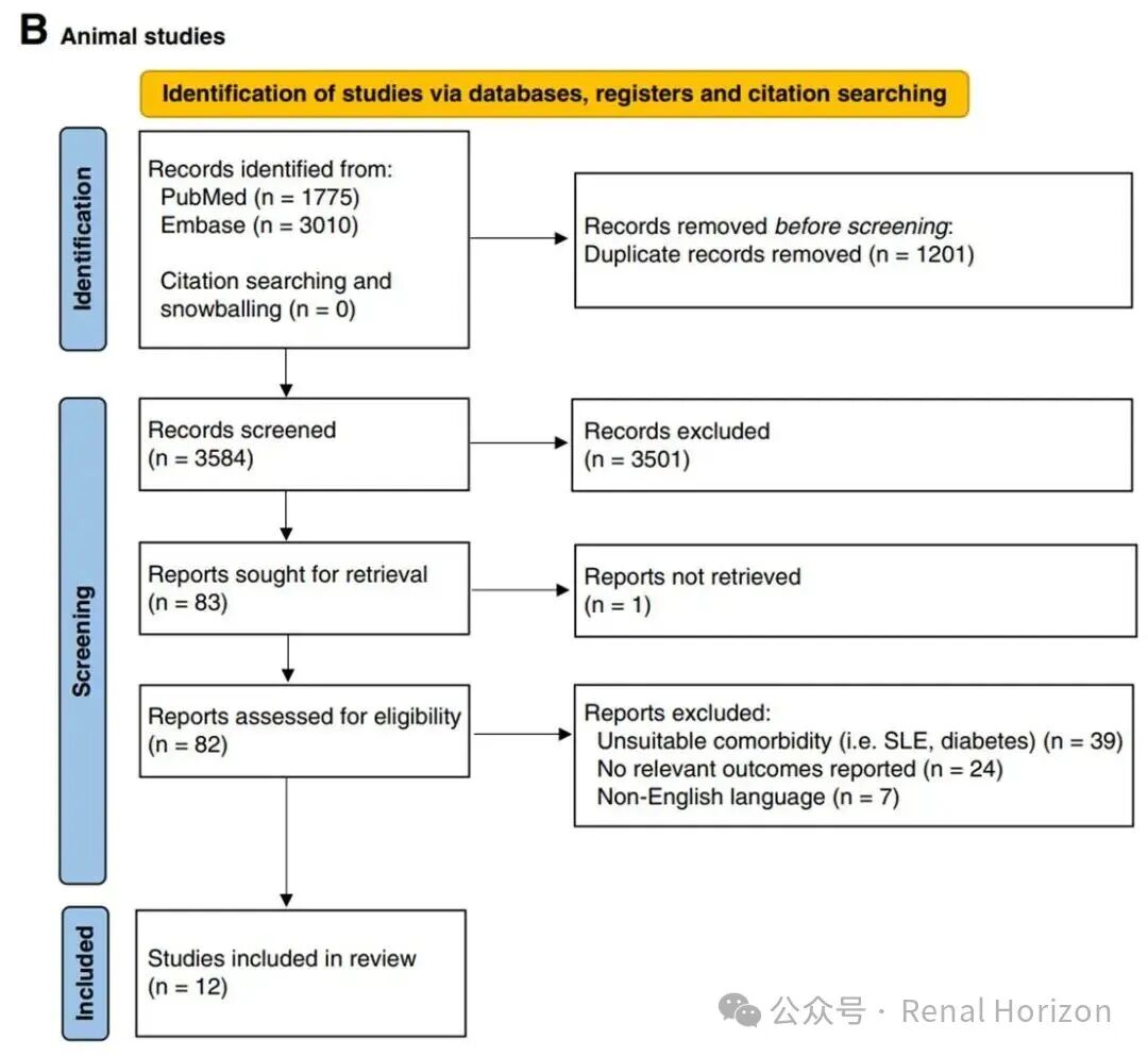 Pregnancy and Long-Term Kidney Function in CKD: A Systematic Review and Meta-Analysis