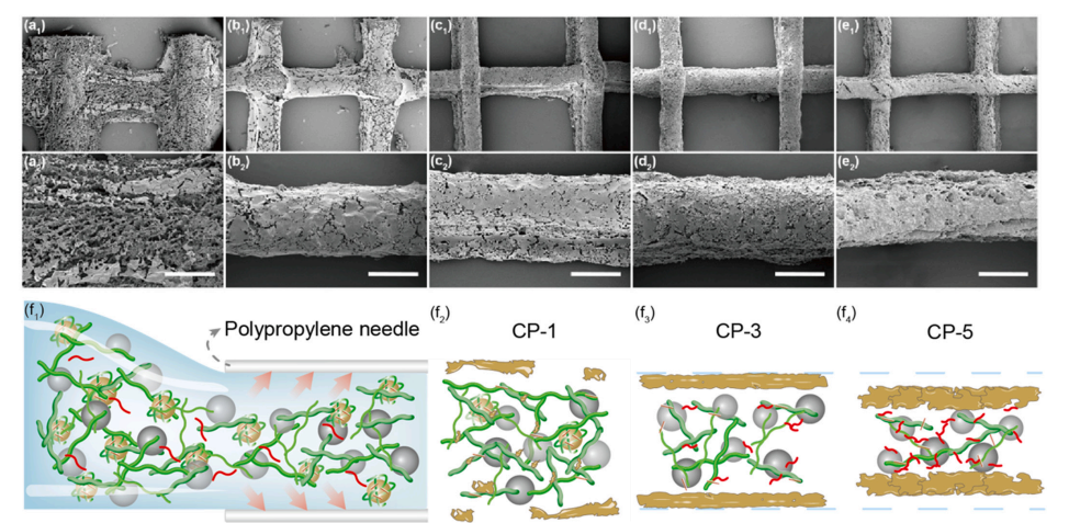 3D-Printable "Smart Skin"? Professor Huan Siqi from Northeast Forestry University Reveals: Multiphase Emulsion Gel Materials with Self-Forming Shells for Smarter Fertilizer Release