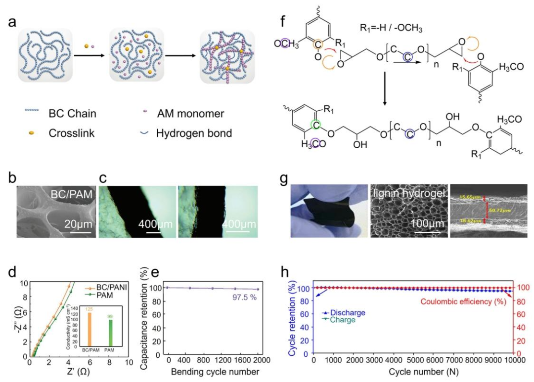 Lignocellulose-Mediated Gel Polymer Electrolytes: Enabling Next-Generation Energy Storage Devices