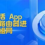 Smart Networking with Two Huawei Routers