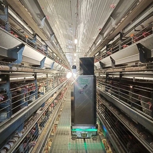 A Robot Can Precisely Manage 160,000 Chickens, Replacing 24 Workers
