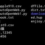A Brief Usage of CSV in Python