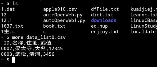 A Brief Usage of CSV in Python