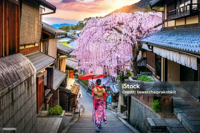 Opportunities in the World's Third Largest Consumer Market: How Chinese AI Toys Tap into Japan's "Loneliness Market"?