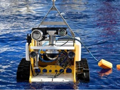 Understanding the Impact of Intelligent Robots on Smart Water Management