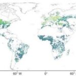 Spatial Data Prediction Based on Python: Random Forest Model Method (Part 1)