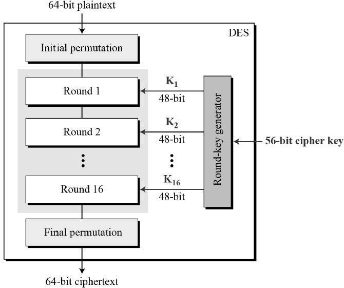 Password Security: A Comprehensive Overview of Common Encryption Algorithms