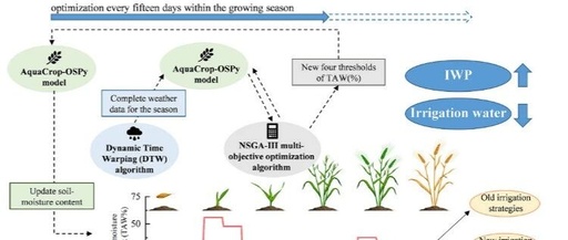 An Integrated Meteorological Adaptive Simulation-Optimization Framework for Real-Time Irrigation Scheduling Considering Perfect Weather Forecasts