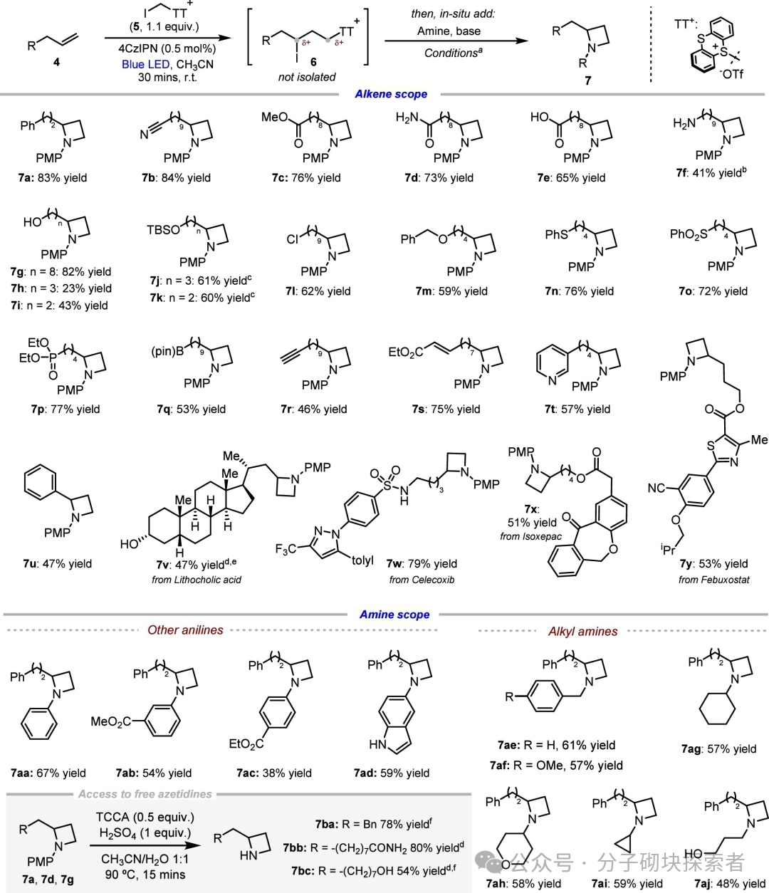 A Universal New Strategy for the Synthesis of 2-Alkyl Tetrahydrocarbons via Photocatalysis: Direct Synthesis from Simple Alkenes