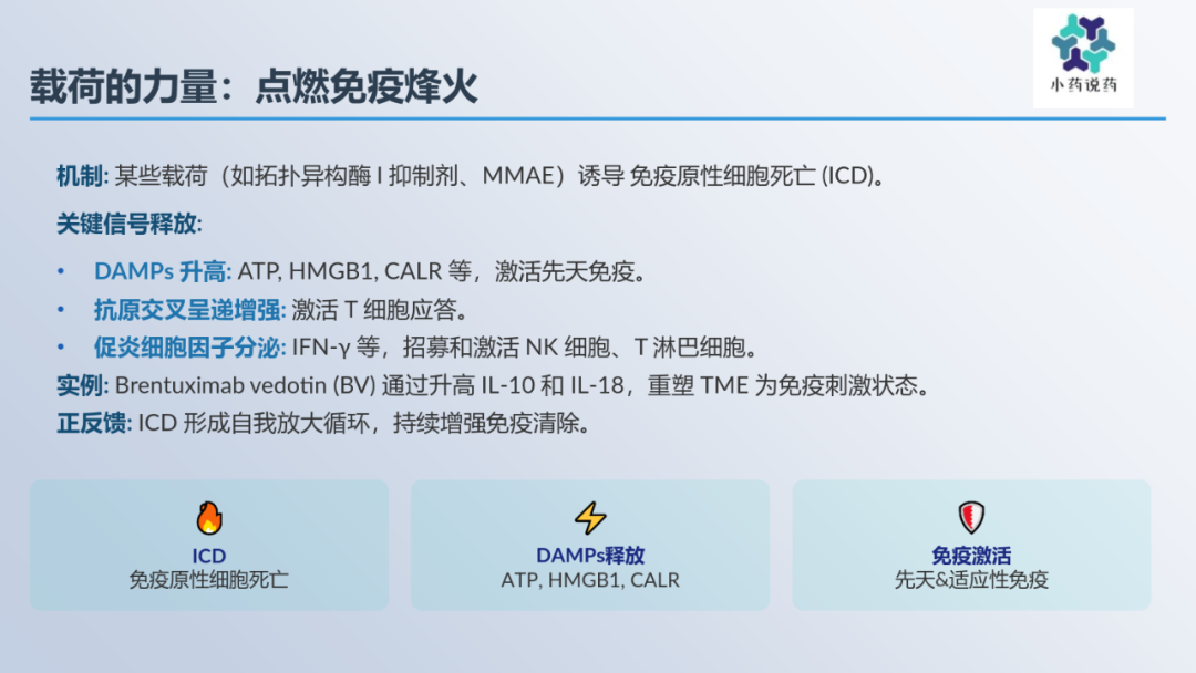 Immunomodulatory Effects of Antibody-Drug Conjugates