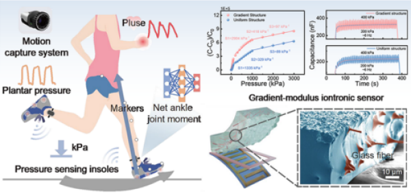 Research Progress on High-Linearity Flexible Skin Sensors