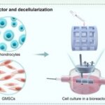 Article Sharing: 3D Printable Perfusable Microchannel Scaffolds