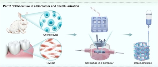 Article Sharing: 3D Printable Perfusable Microchannel Scaffolds