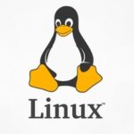 Versions of the Linux System
