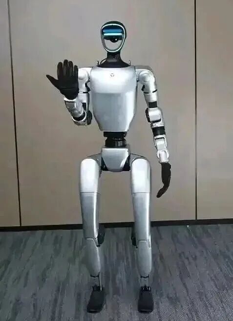 Hangzhou Becomes China's Cradle of Robotics and Artificial Intelligence