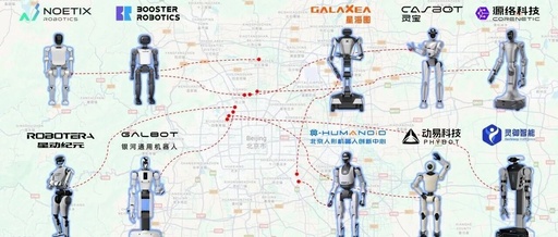 Ecological Map of Humanoid Robots in China and the United States