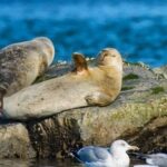 Leptos 16: Interlude - Reactivity and Functions