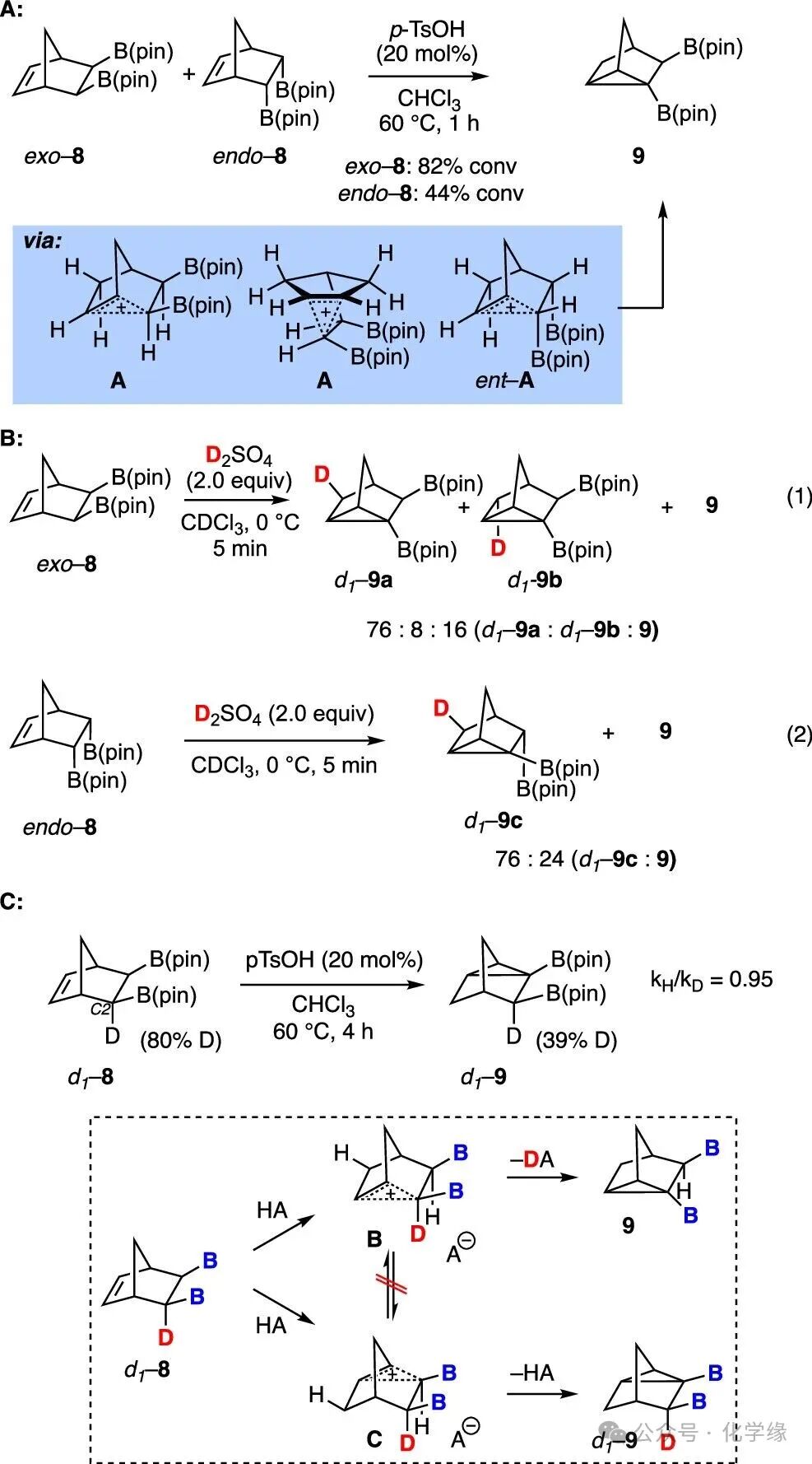 Polycyclic Scaffolds through the Intermediacy of Boron-Stabilized Nonclassical Carbocations