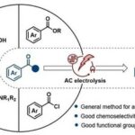 Electrochemical Reduction of Aromatic Carboxylic Acid Derivatives to Aldehydes by Silicon-Assisted Strategy
