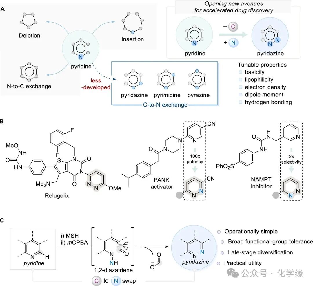 Skeletal Editing Strategy from Pyridine to Pyridazine by Sungwoo Hong at KAIST