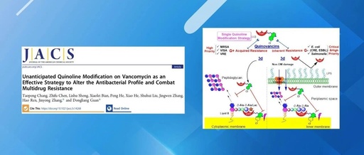 Single Quinoline Modification of Vancomycin: An Effective Strategy to Alter Antibacterial Spectrum and Combat Multidrug Resistance