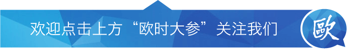 Dutch Government Announces Suspension of Administrative Order Against Nexperia, Latest Response from China