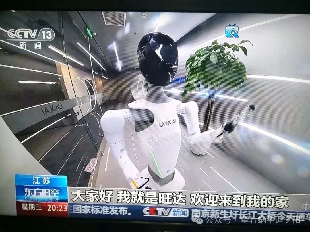 Will Artificial Intelligence Robots Replace Low-Level Workers' Employment Space?