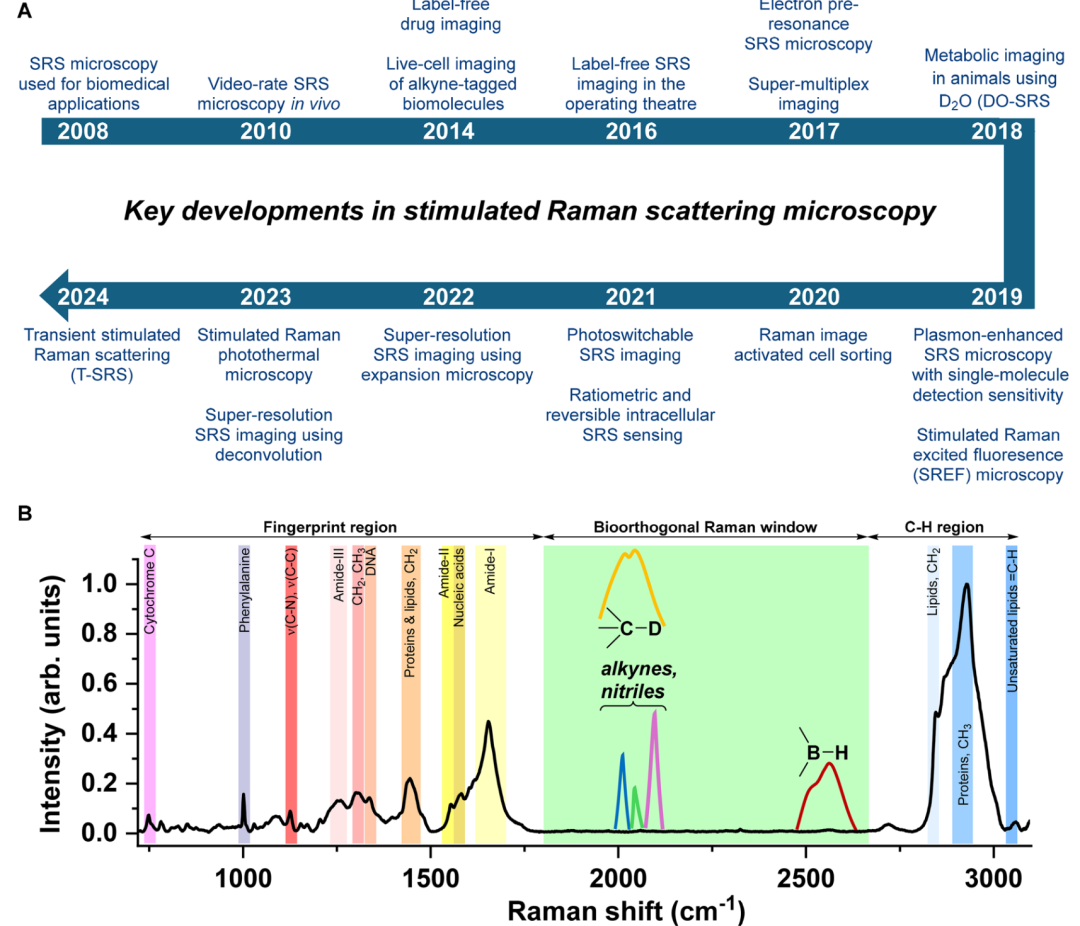 Emerging Applications of Stimulated Raman Scattering Microscopy for Medicinal Chemistry and Drug Discovery