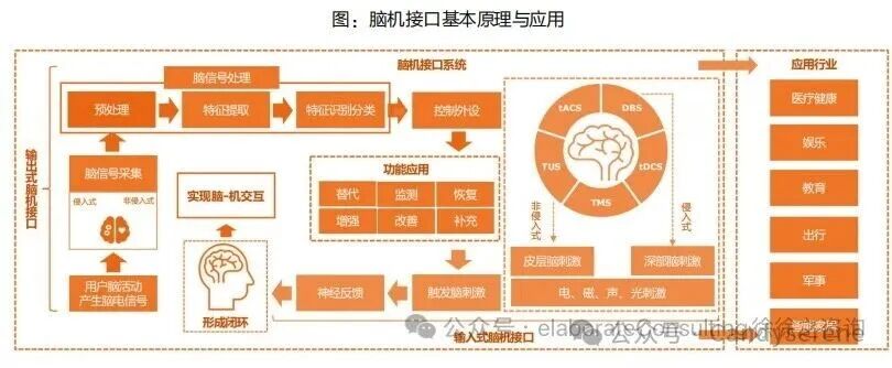 What Will the Future Look Like if Robots Integrate Brain-Computer Interfaces?