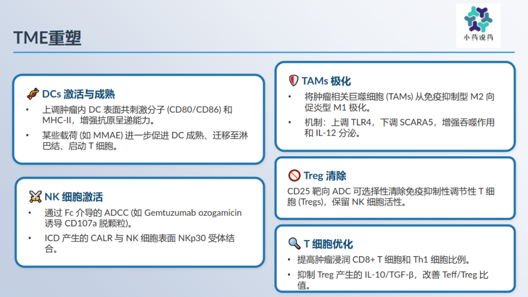 Immunomodulatory Effects of Antibody-Drug Conjugates