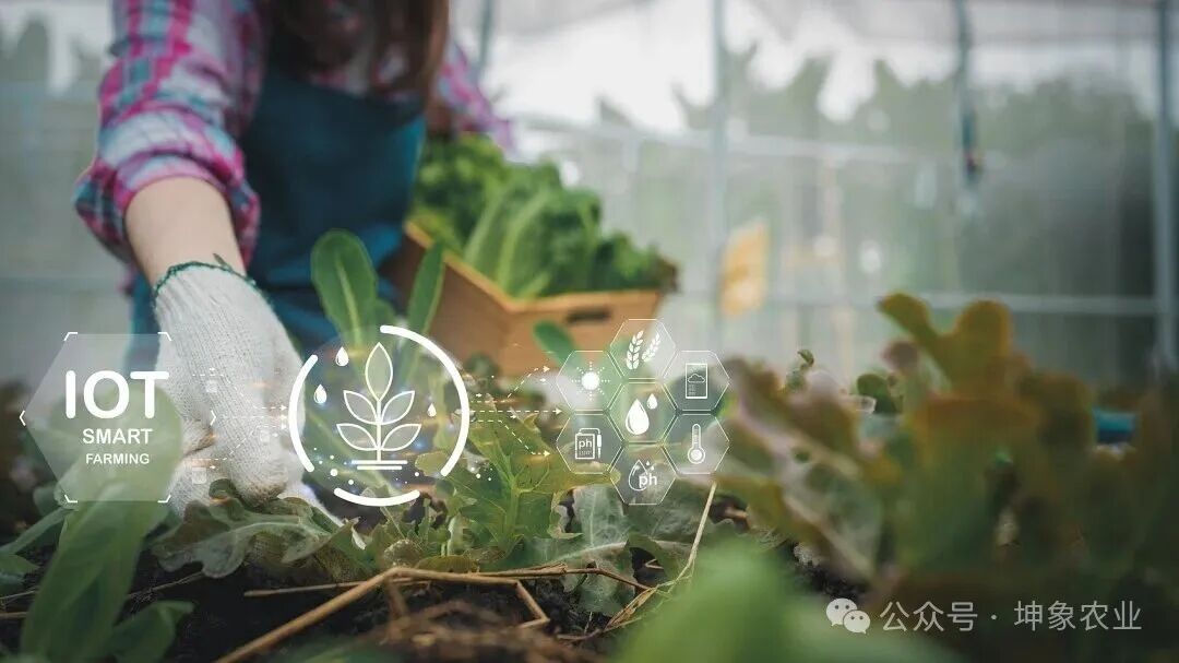 Agricultural Internet of Things: Opening a New Era of Smart Agriculture