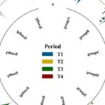Drawing Radial Raincloud Plots with Python