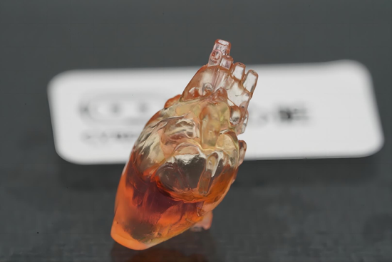 WFIC | Saibo Bio: Integrating Biological 3D Printing into Shanghai's Future Biotech Industry Blueprint