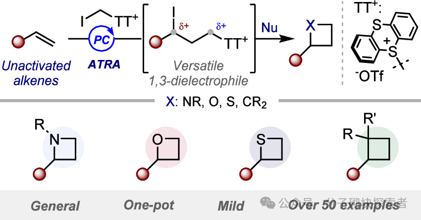 A Universal New Strategy for the Synthesis of 2-Alkyl Tetrahydrocarbons via Photocatalysis: Direct Synthesis from Simple Alkenes