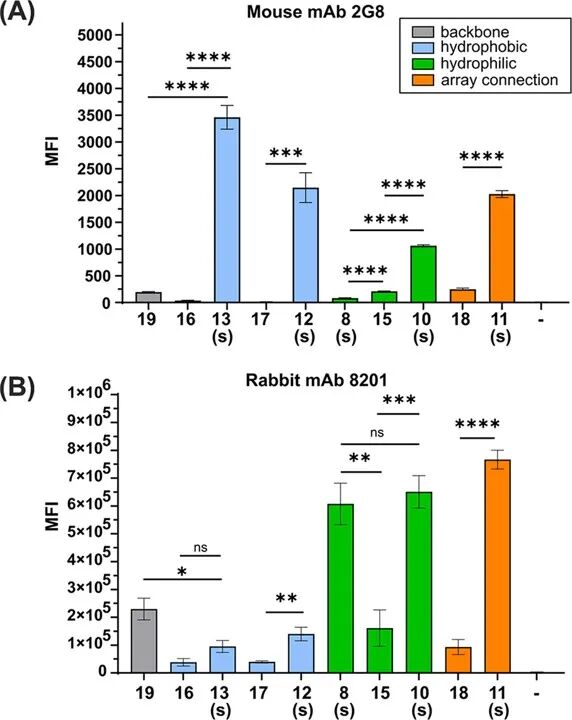 Stapling of β-Glucans Enhances Antibody Binding