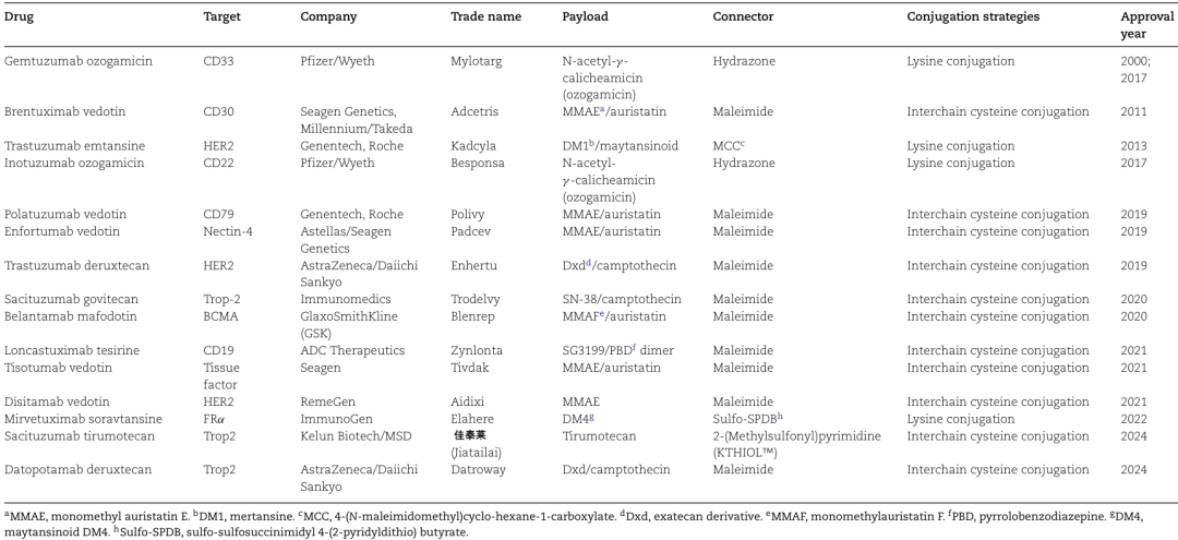 Comprehensive Analysis of ADC Conjugation Technology