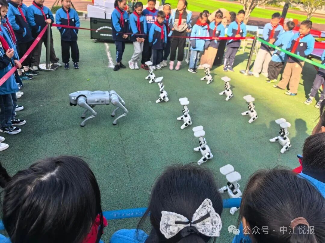 Robot Team Showcases Skills on Campus: AI Wave Ignites Children's Innovation Dreams